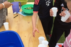 Sponsorenlauf Verpflegung
